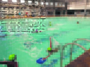 Learners excel in swim programme