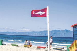 Researchers excited at the prospect of the return of the Great White Shark to False Bay