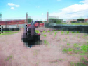 Garden project to promote peace in Kensington informal settlement