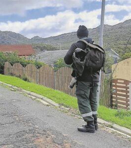 Reduced baboon ranger services confirmed for Cape Town peninsula in December