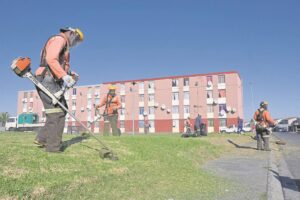 A whiter blade of pale: Resources limited as ‘Mowshedding’ hits Cape Town