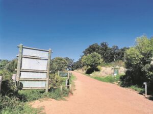 Draft plan for forests released