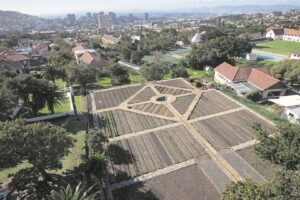 Traumatic experience 10 years ago leads to the establishment of a succesful farm and market