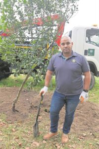 Tree replacement programme launched as removal of infested trees forges ahead
