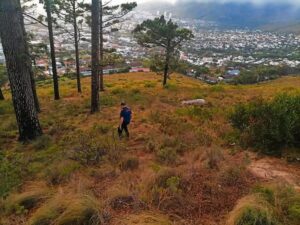 Camps Bay residents unite to tackle robberies near Kloof Nek, Lion’s Head, and Signal Hill