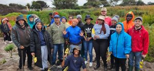 Youth plant lilies at Princess Vlei