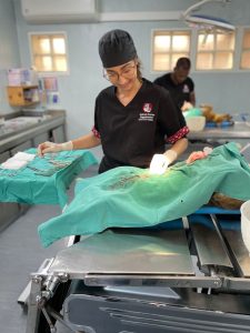 New vet joins Ottery’s Animal Rescue Organisation to serve community pets