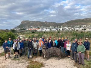 Help protect Silvermine Wetlands: local NPO calls for more conservation volunteers