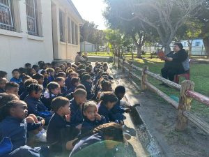 World Literacy Day celebrated at Zwaanswyk Academy