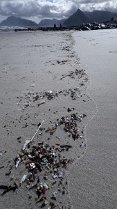 Microplastics on Cape Town beach’s needs addressing says ocean activist
