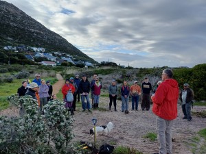Saving Silvermine: local volunteers fight alien vegetation in Cape Town wetland
