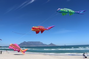 Mental health awareness: Cape Town international kite festival highlights trauma and healing