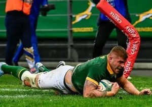 Marx claims the coveted rugby prize in another dominant Springboks season