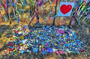 Tokai forest safety concerns resurface after national #WomenShutdown