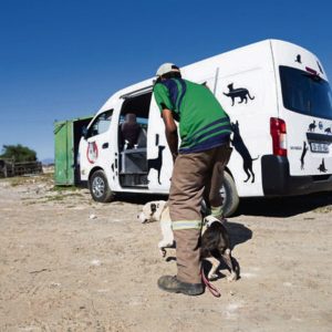 Animal community outreach programmes halted in Retreat after attack