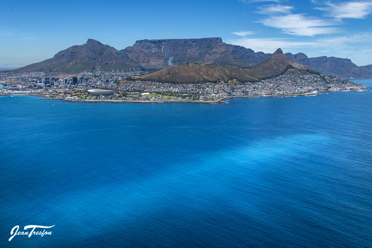 City defends marine outfalls as ActionSA appeal nears ruling