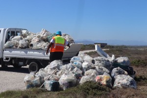Robben Island clean-up effort sees 200 volunteers unite for conservation
