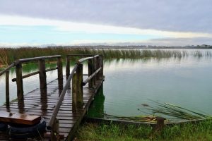 Zeekoevlei remains closed due to dangerous toxin levels