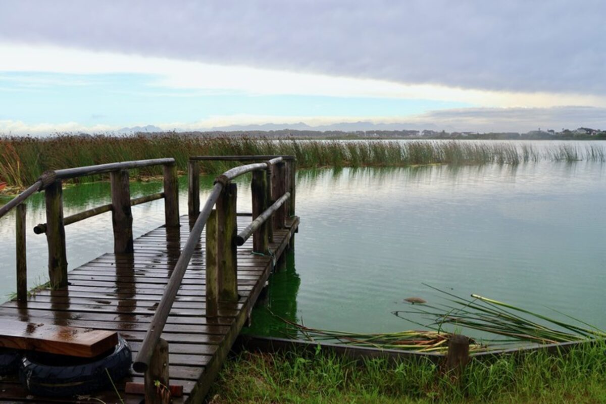 Zeekoevlei remains closed due to dangerous toxin levels