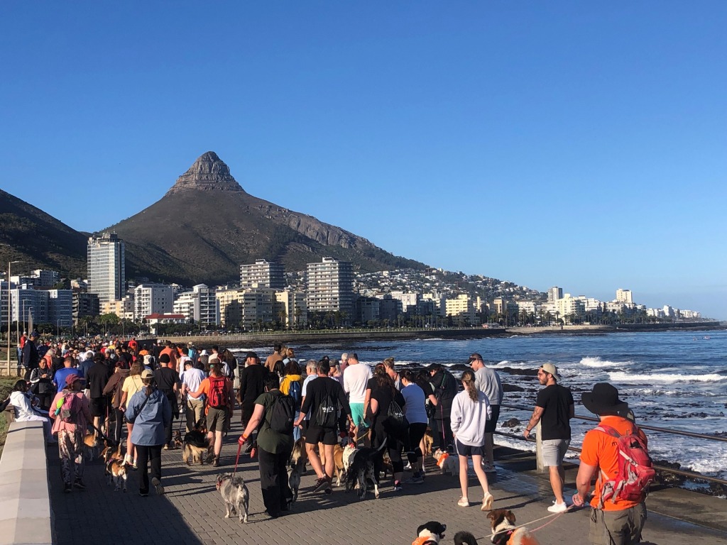 Paws on the Promenade