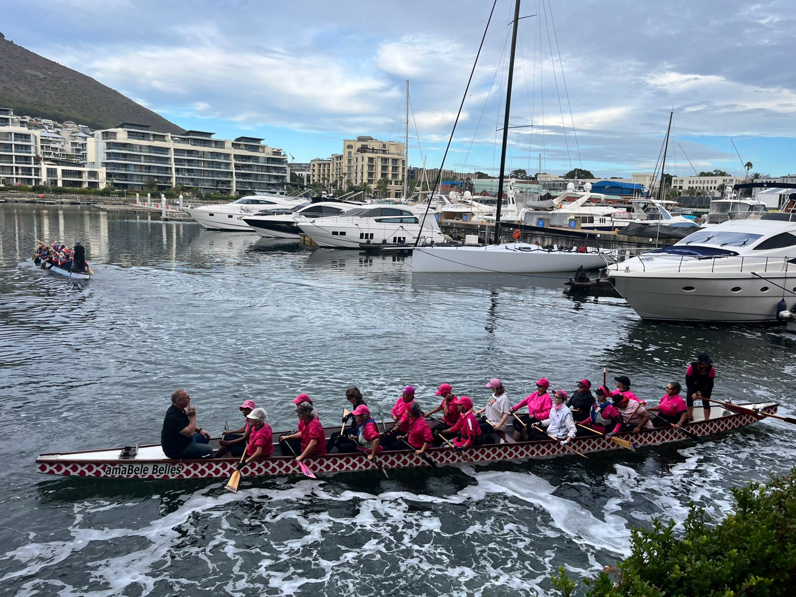 AmaBele Belles Celebrate 20 Years of breast cancer survivor dragon boating