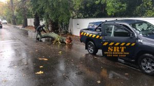 Wynberg Storm Electricity Outages Hit Ward 62 Hard