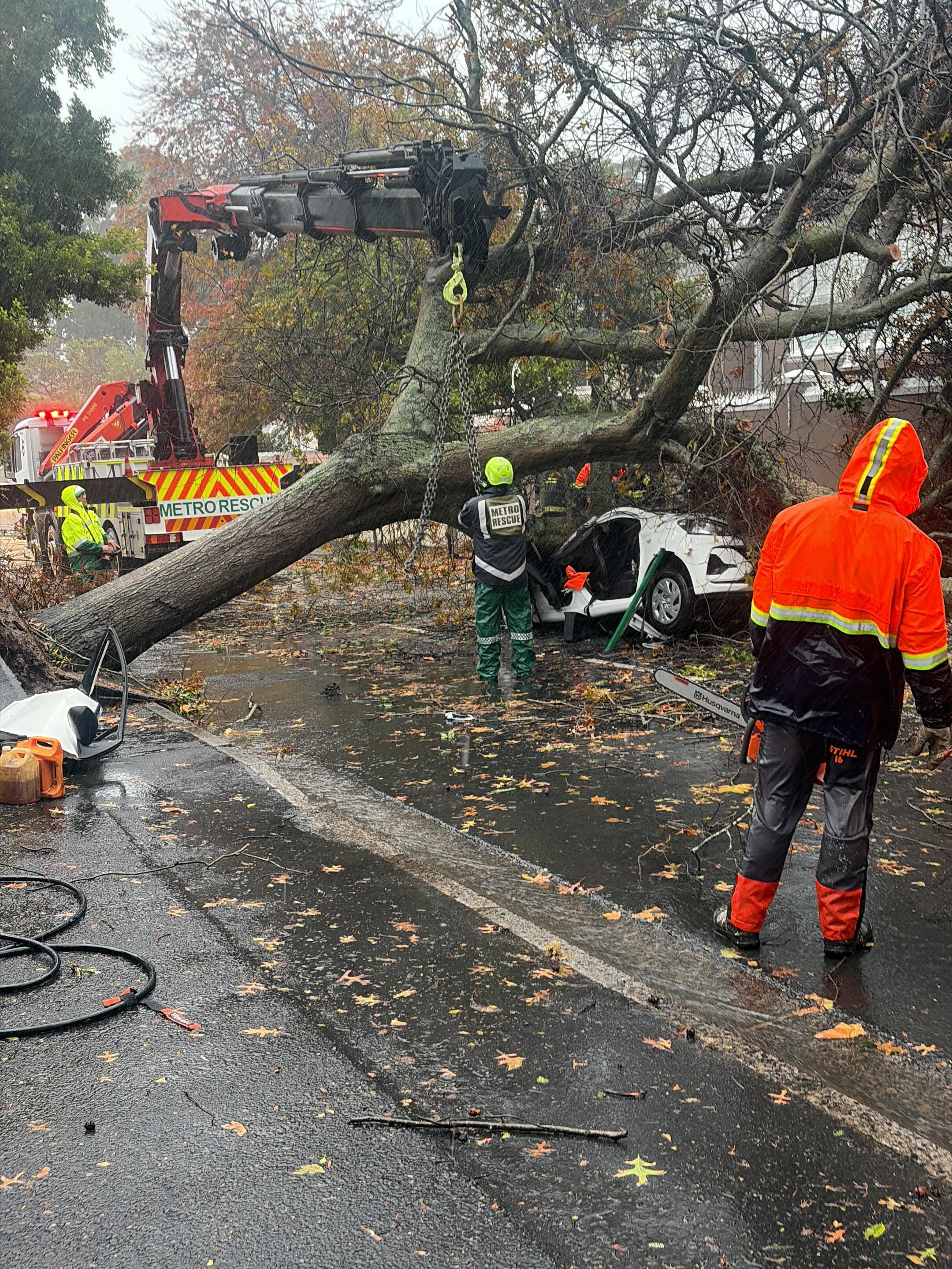 E-hailing passenger dies Wynberg — emergency crews respond to tree collapse on vehicle at corner of Tennant and Oak Roads