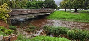 Liesbeek river flooding raises concerns about urban river resilience