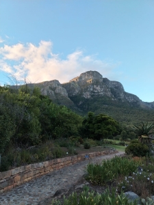 Claims of neglect at Kirstenbosch spark SANBI controversy