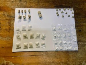 Law Enforcement arrests suspected drug dealer in Imizamo Yethu
