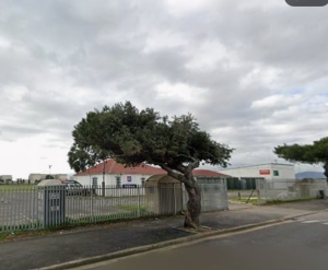 Soulful Reunion Festival faces opposition from Maitland residents