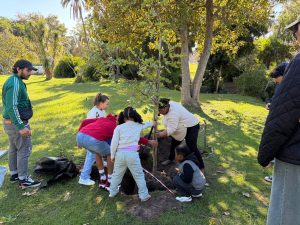 Wynberg plants 15 trees at Maynardville Park on Youth Day