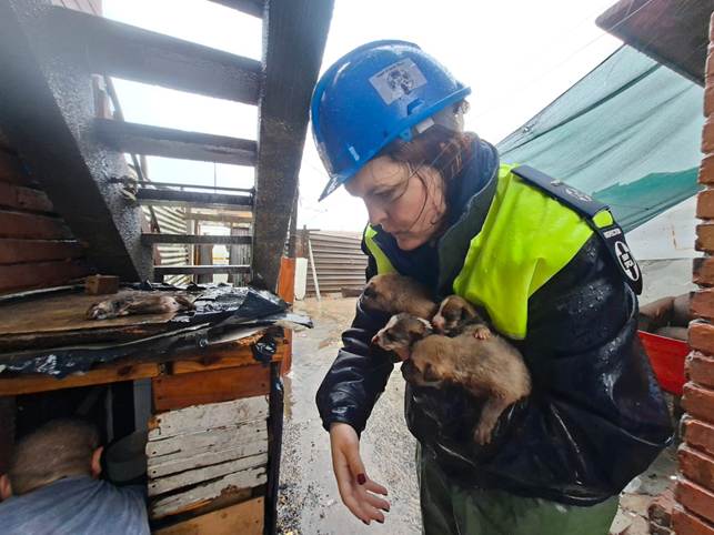 The Cape of Good Hope SPCA say they have experienced a decline in winter adoptions and an increase in admissions this winter.