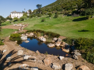 Muizenberg Park receives major funding to restore endangered fynbos