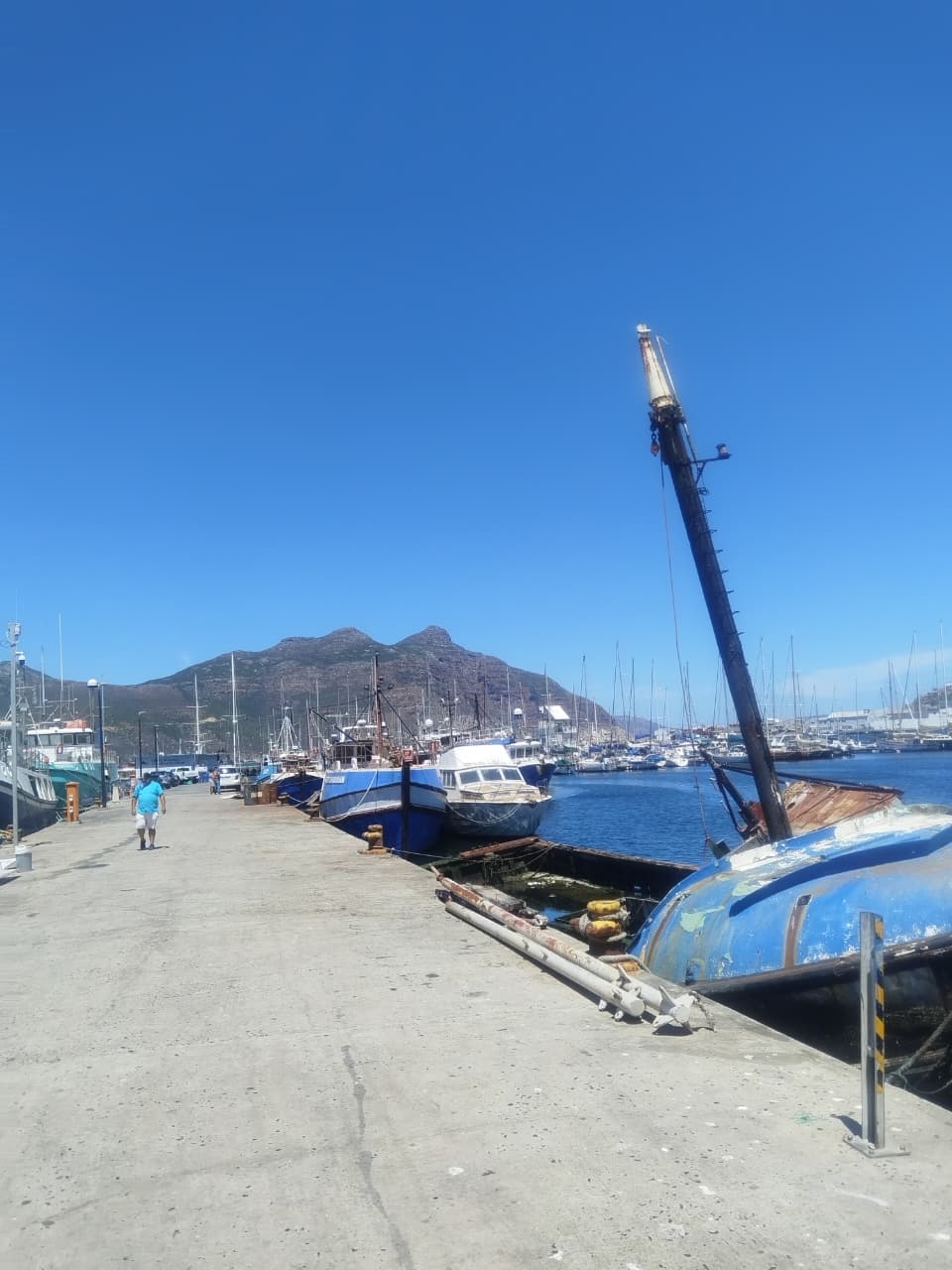 Department of Forestry, Fisheries and the Environment confirmed the department had no prior knowledge of the GI-Toc report linking Hout Bay's abalone poaching operations to cocaine smuggling along the Western Cape coast.