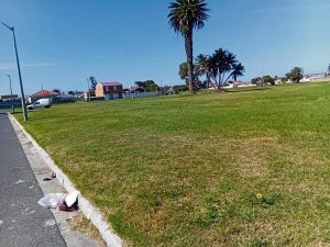 Retreat resident says open land should remain green zone, not school site