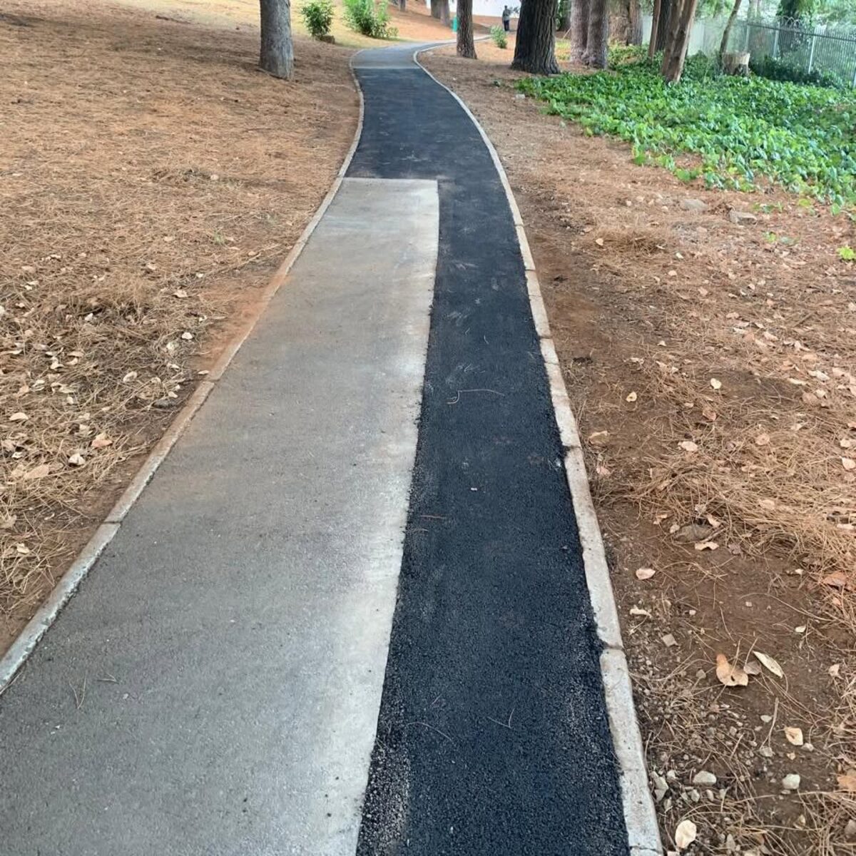 New walking path and signage along the M3 greenbelt in Newlands, Cape Town