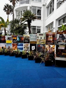 Silwerskermfees puts Cape Town stories in the spotlight