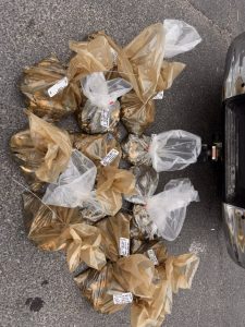 Driver nabbed with hidden abalone in Muizenberg