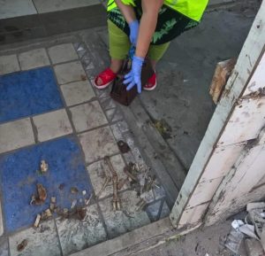 Bones found hours after prayer for missing Lotus River girl’s return