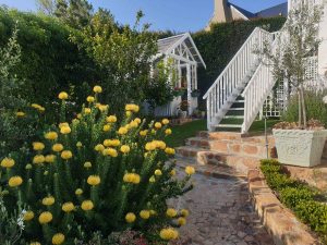 Noordhoek garden gathering pours back into community