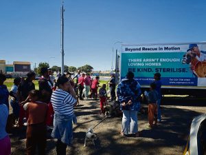 SPCA launches sterilisation drive