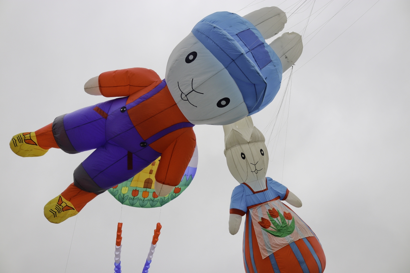 Kite flyers cast their eye-catching spectacles aloft for mental-health ...