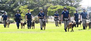 City’s first K9 competition puts top dogs through their paces