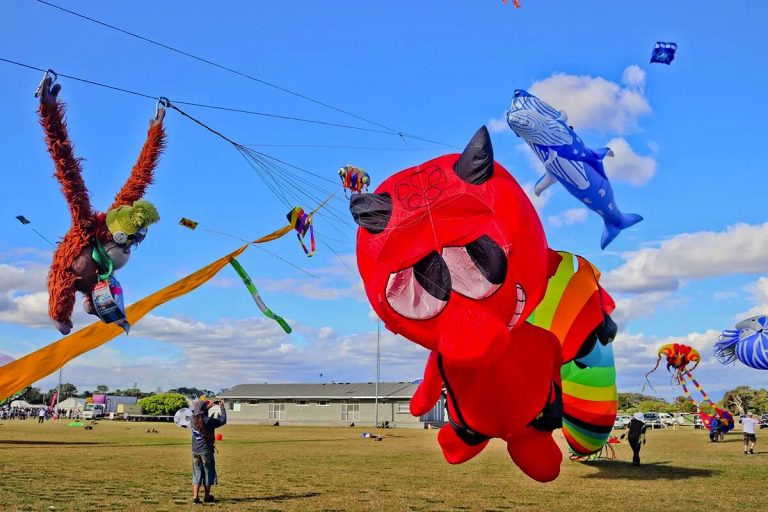 Kite flyers cast their eye-catching spectacles aloft for mental-health ...