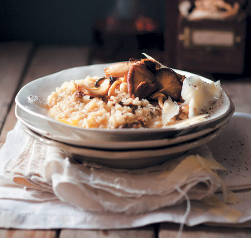 Romerige wildesampioen-risotto