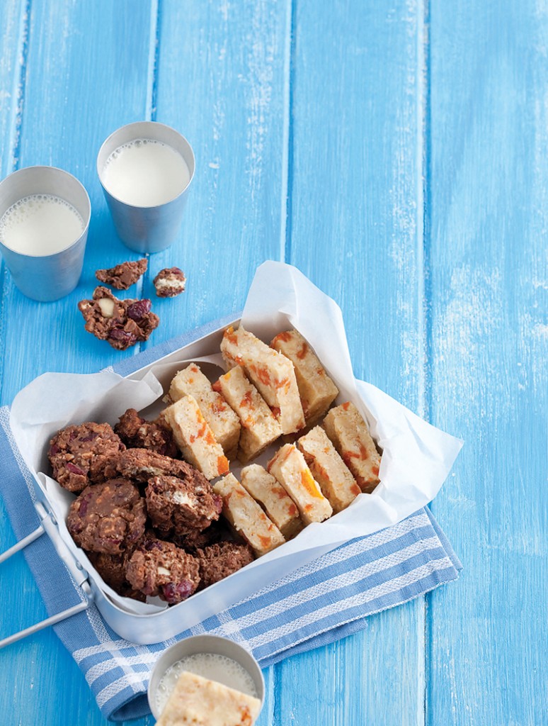 Vakansiekoekies