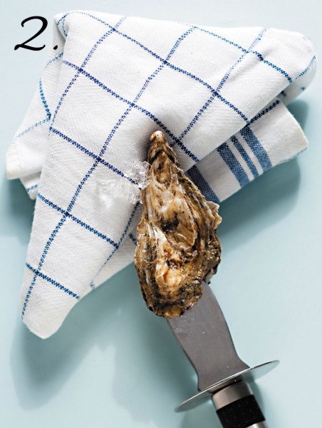 Oesters 2
