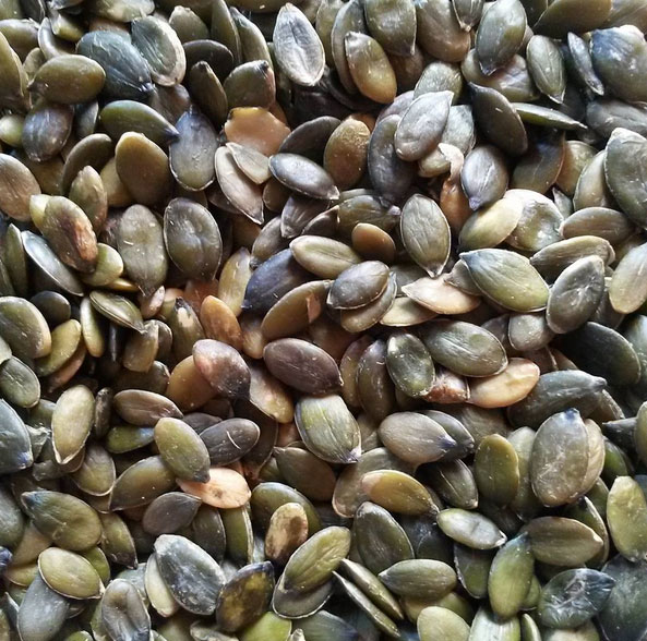 Pampoensaad