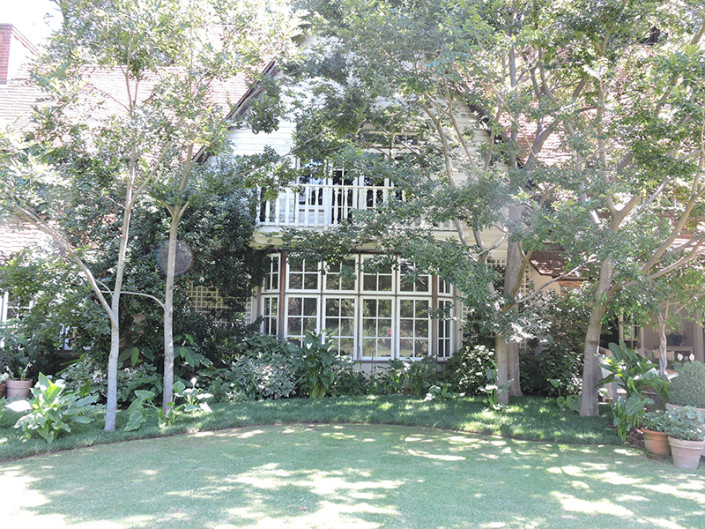 foto's-geneem-by-die-pragtige-Beechwood-Gardens-in-Sandton